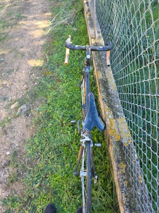 Eddy Merckx Carbono - Campagnolo Chorus