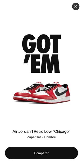 Nike Jordan Dunk Low Chicago 44.5