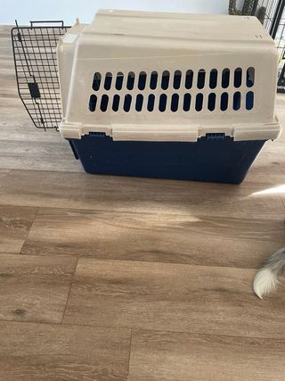 Transportín perro rígido