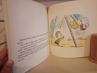 Perché Charlie Brown perché