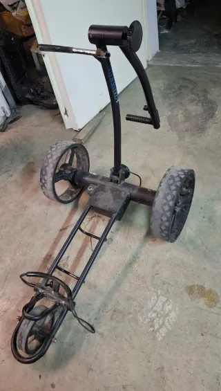 Carro de golf eléctrico