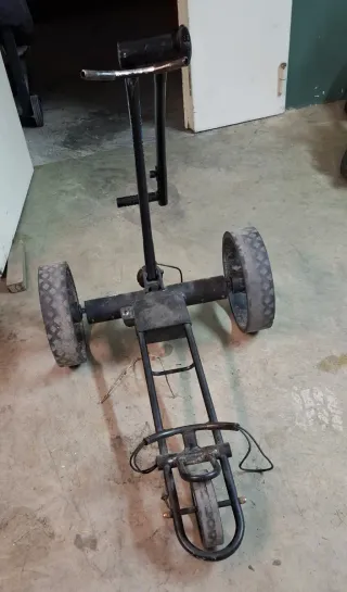 Carro de golf eléctrico