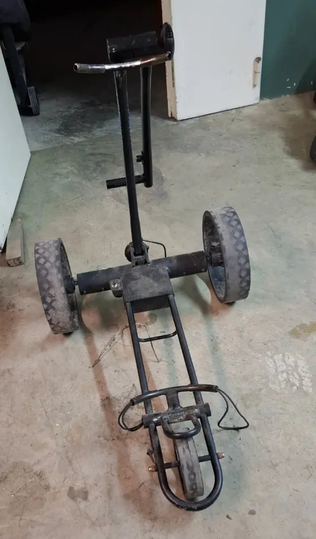 Carro de golf eléctrico