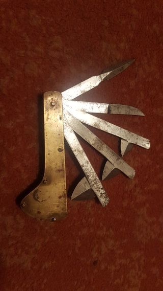 Herramienta veterinaria LUPO con perro