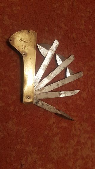 Herramienta veterinaria LUPO con perro