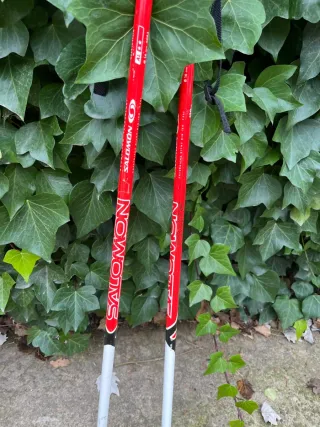 Bastones de esquí Salomon rojos