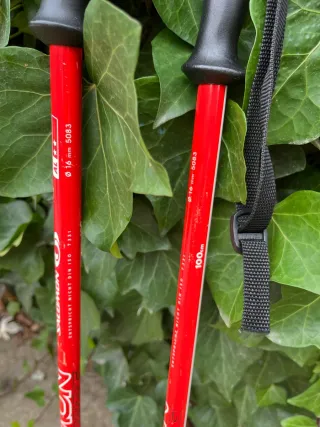 Bastones de esquí Salomon rojos