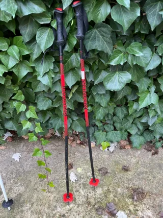 Bastones de esquí Rossignol