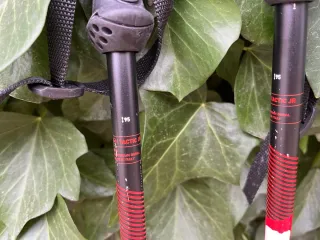 Bastones de esquí Rossignol