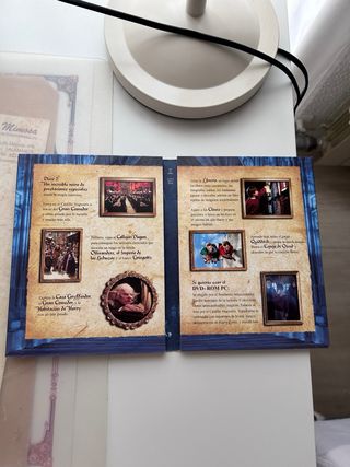 DVD Harry Potter y la Piedra Filosofal (Español)