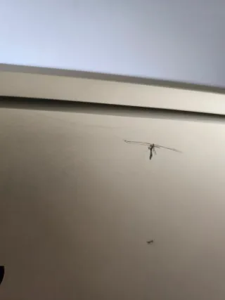 iMac 27 2015 macOS Sierra