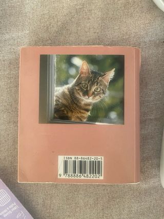 Set accessori per gatti