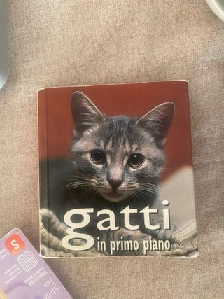 Set accessori per gatti