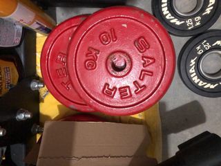 2 discos SALTER 10 kg