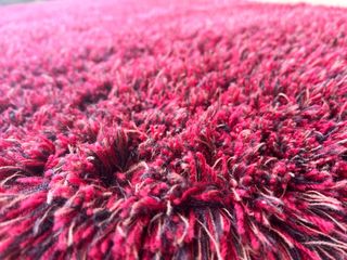 Tappeto di design - 100% Lana - Rosso e Viola