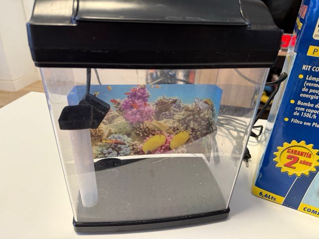 Acuario pequeño ICA Mini Aquarium