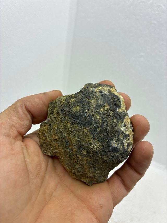 Olivino en bomba volcánica de Girona