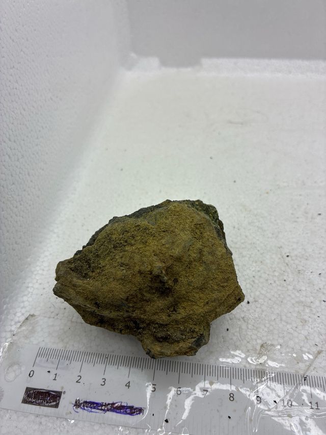 Olivino en bomba volcánica de Girona