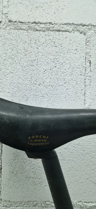 Bicicleta Fixie/Single Speed