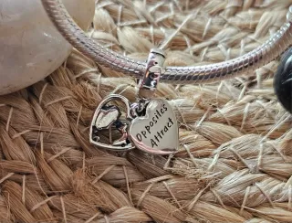 Charm Corazón La Dama y El Vagabundo