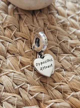 Charm Corazón La Dama y El Vagabundo