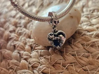 Charm Corazón La Dama y El Vagabundo