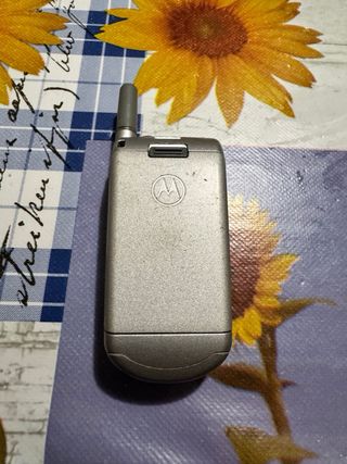 Motorola V50/V51
