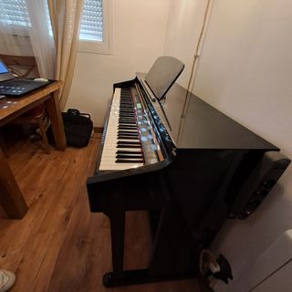 Piano Ringway TG-8826 Hammer Action