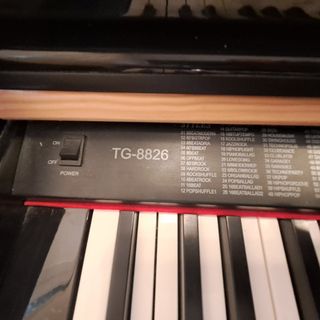 Piano Ringway TG-8826 Hammer Action
