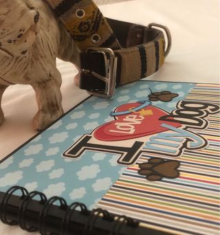 Álbum de fotos para mascotas