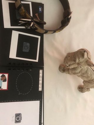 Álbum de fotos para mascotas