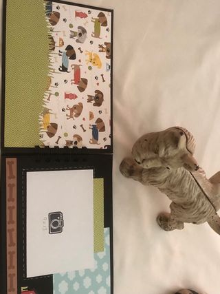 Álbum de fotos para mascotas