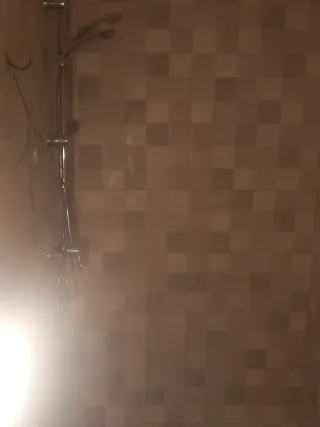 Se ofrece albañil fontaneria tejados alicatado etc