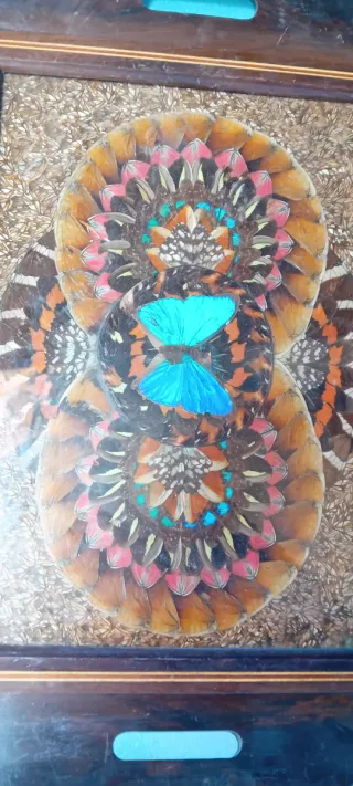 Vassoio decorativo ali di farfalla