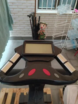 Bicicleta Estática Profesional Gervasport