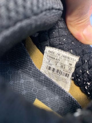 Zapatillas Nike SB P-Rod 2 Negro/Dorado 9US