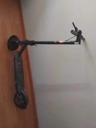 Patinete Eléctrico Xiaomi