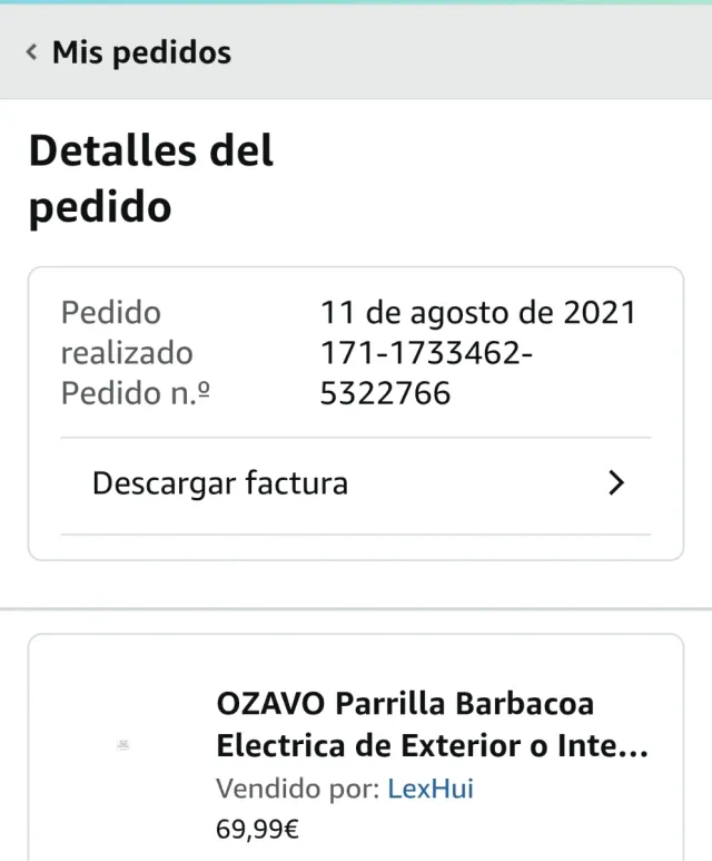 Griglia Elettrica per Barbecue