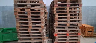 Palets de madera