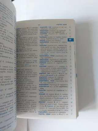 Diccionario Dico Inicial. Francés.