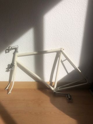 Cuadro Zeus Clásica Fixie