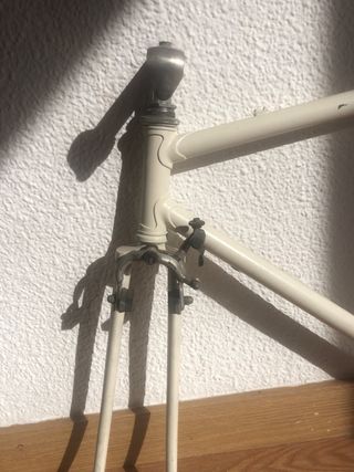 Cuadro Zeus Clásica Fixie