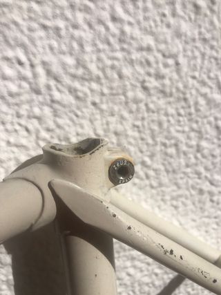 Cuadro Zeus Clásica Fixie