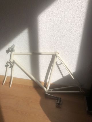Cuadro Zeus Clásica Fixie