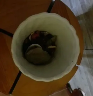 Antichi vasi in porcellana