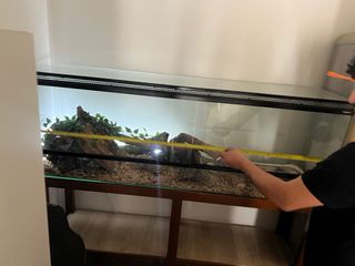 Terrario grande para reptiles