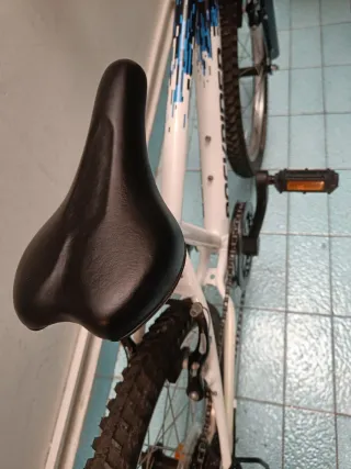 Bicicleta MTB Rockrider ST 120 20