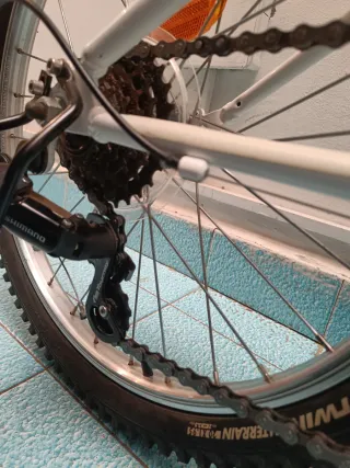 Bicicleta MTB Rockrider ST 120 20