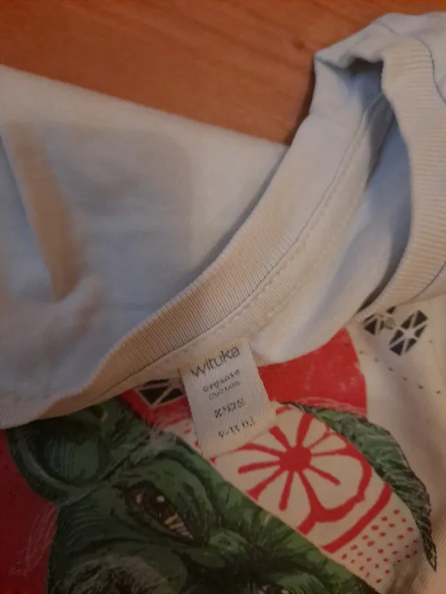 Camiseta niño Yoda Karate