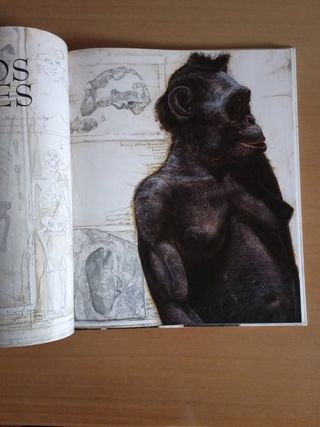 La historia del origen del hombre (GRANDES OBRA...